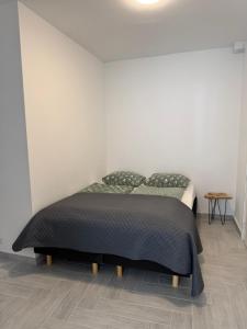 Smile home, Zaanse schans and Amsterdam Appartements