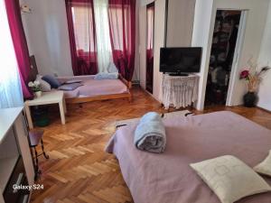 Old Town Petcu`s House