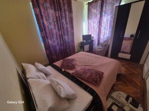 Old Town Petcu`s House