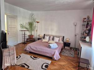 Old Town Petcu`s House