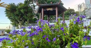 Yiru Academy's upstairs art & viewing room