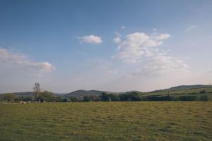 Wisteria Cottage Wye Valley AONB