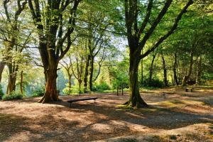 Finest Retreats - Joyful Cottage