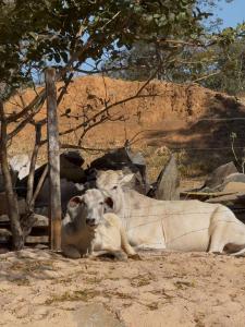 Suítes Recanto das Flores 1