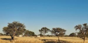 Duineveld Kalahari Camp