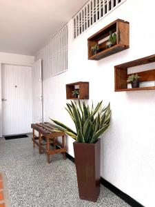 Comfort and an excellent area in Venezuela