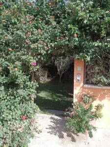 Namasté Suite - Porto Pino