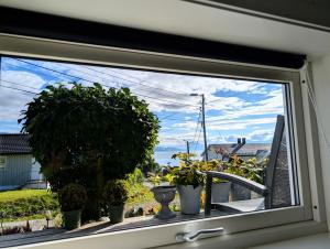 Aurora rooms in shared apartment nr2 We are doing privet Northen lights trips, reindeer trip and Fjord sommaroy trip