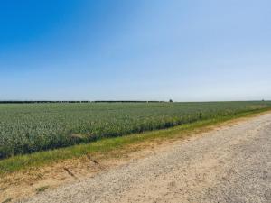 Holiday Home Anella - 200m from the sea by Interhome