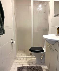 Tunnelmallinen paritalo saunalla 6 hengelle