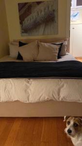 Stanza nel cuore dei tetti di Genova