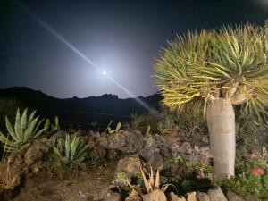 CHC - Casa Rural Dracaena