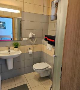 Apartments Světluška