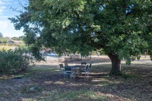 Gîte Chêne ou Murier