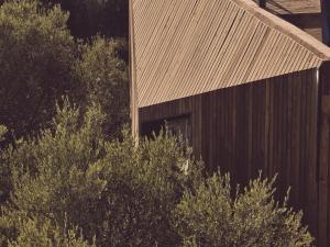 Prosilio olive tree houses