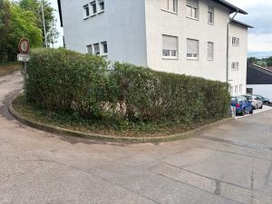 Große Wohnung
