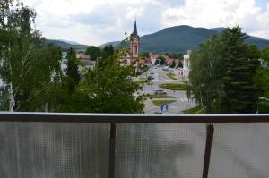 One-Bedroom Apartment room in Biznis centrum / ubytovna