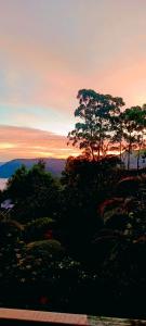 Adisham village agro garden villa