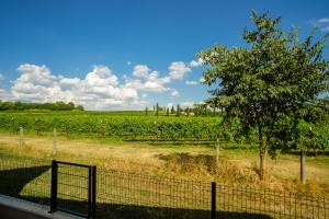 Residenza "Rosè del Garda"