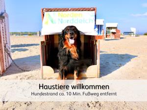 Ideal für Familien & Fellnasen, strandnah