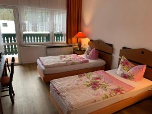 Gasthaus und Pension Zur Libelle