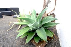 Kalendra Rofe Amplia y tranquila cerca del mar