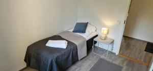 Spacious Apartment for 5