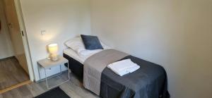 Spacious Apartment for 5