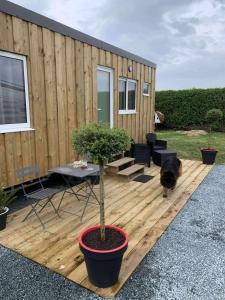 Mimis tiny house