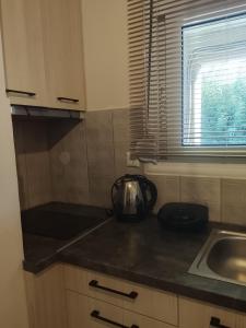 ΔΙΑΜΈΡΙΣΜΑ ΜΕΝΤΗΣ