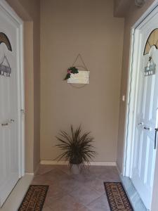 ΔΙΑΜΈΡΙΣΜΑ ΜΕΝΤΗΣ