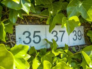 Apartment Sibyll - 2km from the sea by Interhome