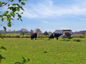Holiday Home Bjarke - 200m from the sea by Interhome