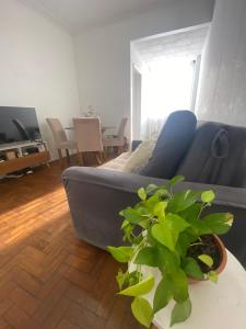 Aconchegante Quarto a uma quadra da praia de Copacabana