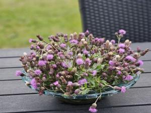 Holiday Home Matthis - 500m to the fjord by Interhome