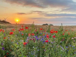 Holiday Home Alkmar - 75m from the sea by Interhome