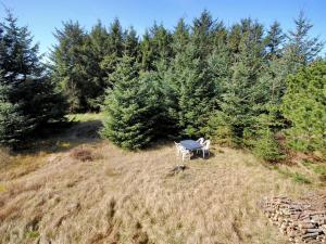 Holiday Home Minja - 900m from the sea by Interhome