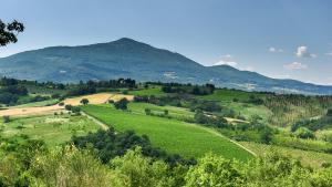 Amantino 8 Emma Villas