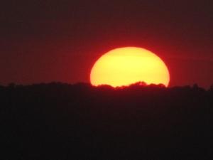 Apartment Elvin - 20m from the sea by Interhome