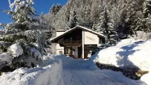 Orizzonti Montani - 皮耶韦迪卡多雷