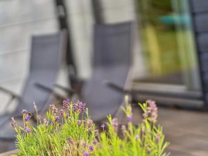 Holiday Home Yukon - 150m from the sea by Interhome