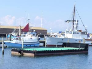 Apartment Line - 10m from the sea by Interhome