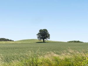 Holiday Home Hila - 900m from the sea by Interhome