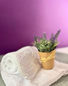 Apartments Casa del Sol Jovana