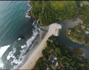 Villa Dallê - Terreo - Vila Itamambuca