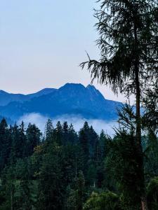 Mountain Base - Dom Hrabiego - AC