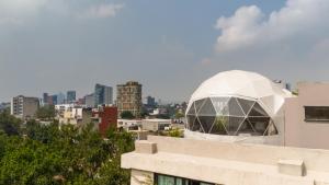 Umbral Sky Domes in Roma Norte