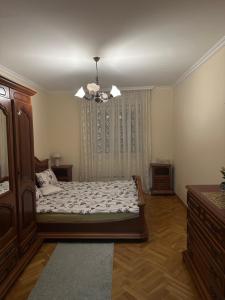Central apartment Zemun