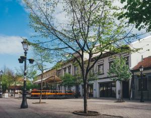 Central apartment Zemun