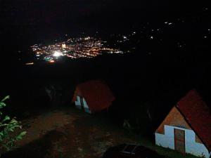 Hotel Cabañas Villa Loe Jardín